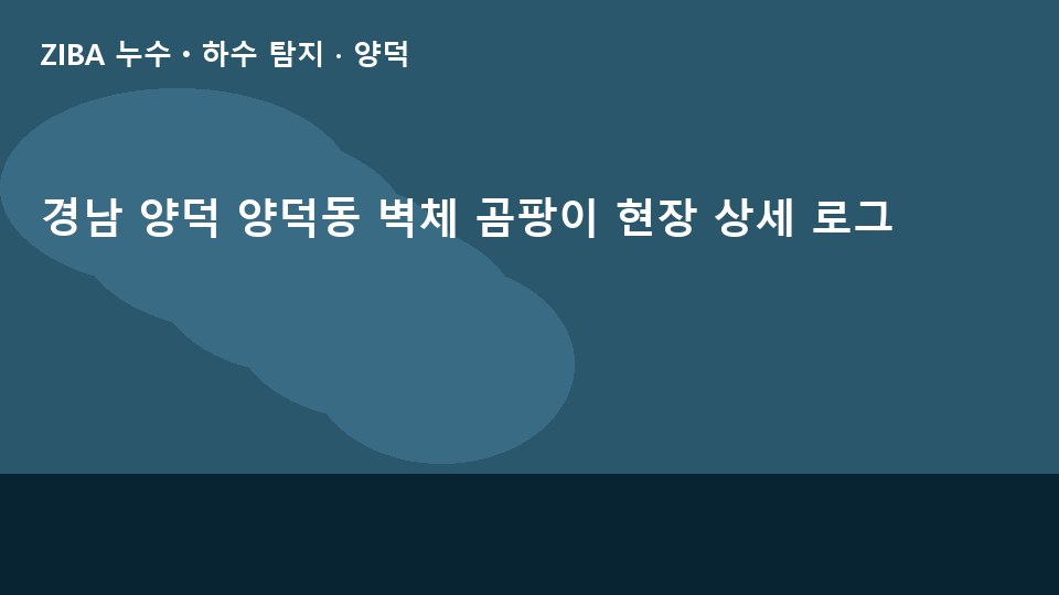 경남 양덕 양덕동 벽체 곰팡이 현장 상세 로그